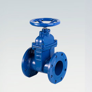 Water treatment gate valve