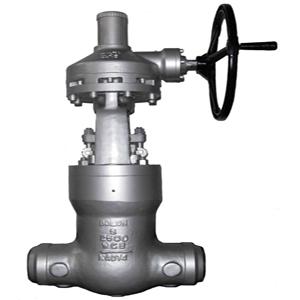 Power Station Globe Valve